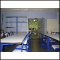 techno2006-7.jpg 800x600
